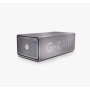 SanDisk G-RAID 2 disco rigido esterno 40 TB Grigio